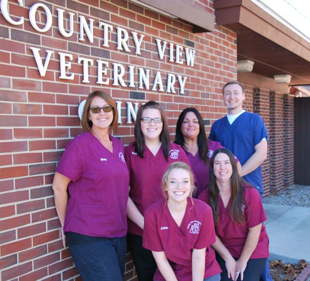 Best Veterinary Hospital In Champaign IL Country View