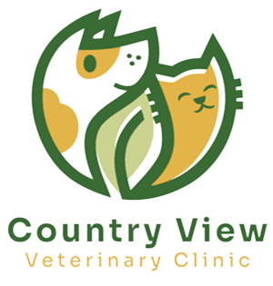 Best Veterinary Hospital In Champaign IL Country View